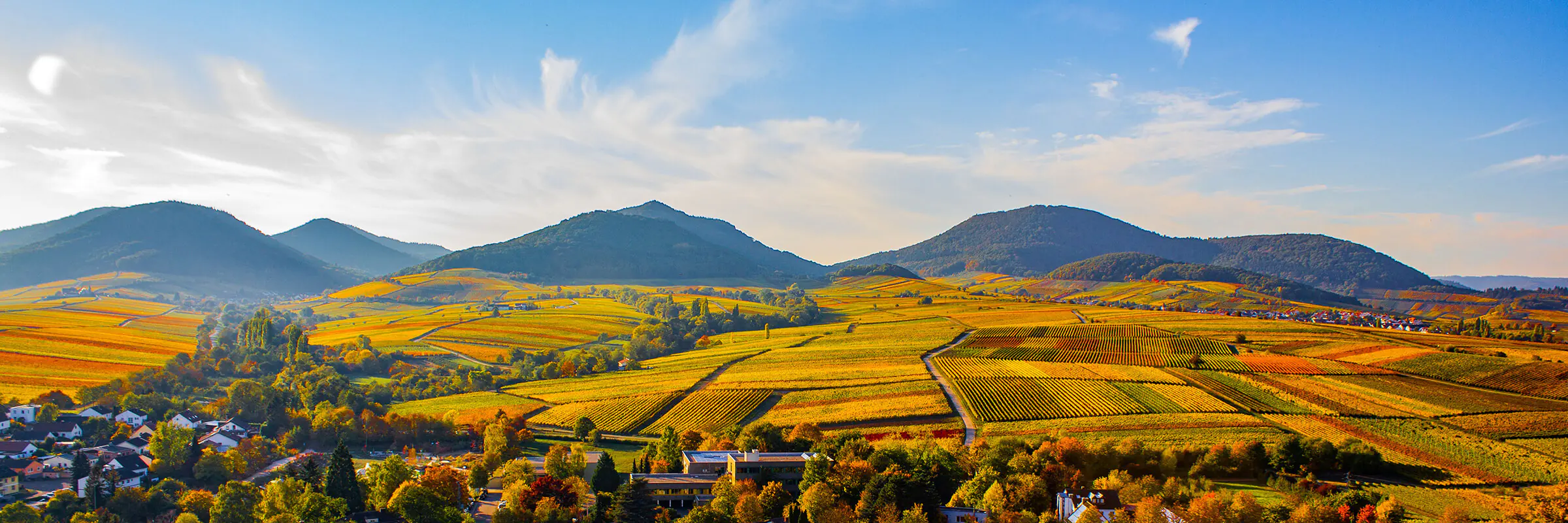 Herzlich willkommen im WM-Dentallabor